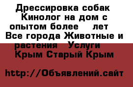 Дрессировка собак (Кинолог на дом с опытом более 10 лет) - Все города Животные и растения » Услуги   . Крым,Старый Крым